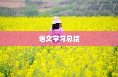 语文学习总结