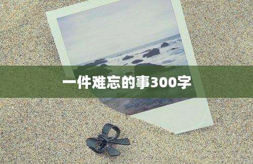 一件难忘的事300字