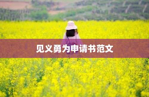 见义勇为申请书范文