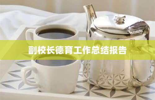 副校长德育工作总结报告