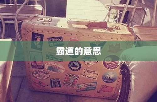 霸道的意思