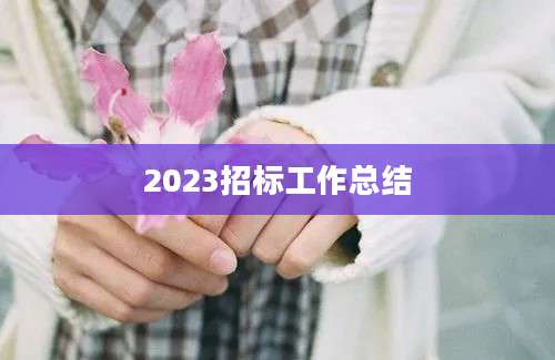 2023招标工作总结