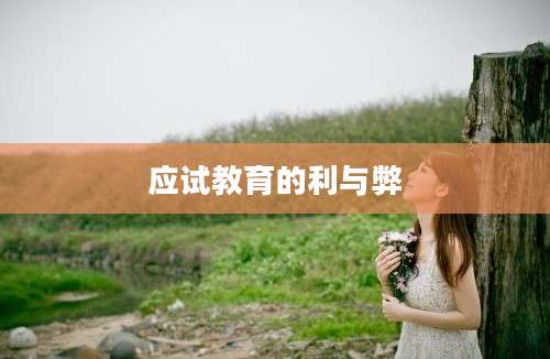 应试教育的利与弊