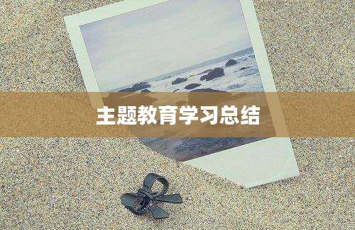主题教育学习总结