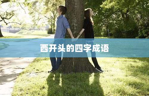 西开头的四字成语