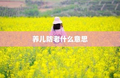 养儿防老什么意思