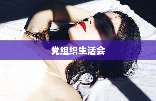 党组织生活会