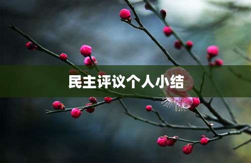民主评议个人小结
