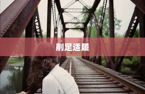 削足适履