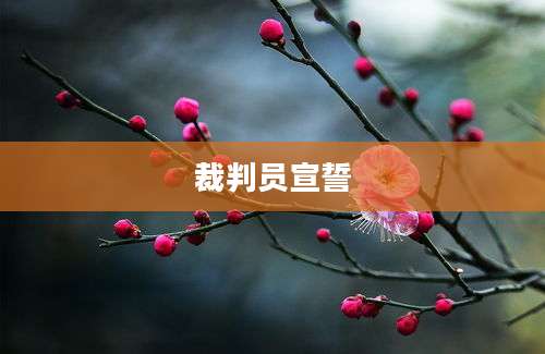 裁判员宣誓