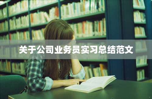 关于公司业务员实习总结范文