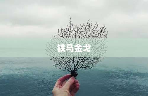 铁马金戈