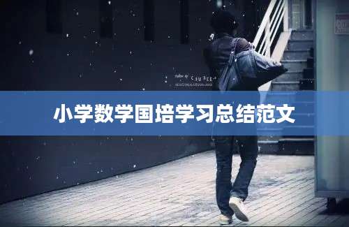小学数学国培学习总结范文