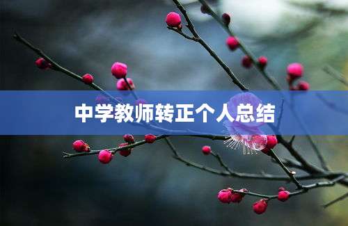 中学教师转正个人总结