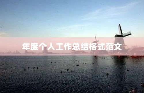 年度个人工作总结格式范文