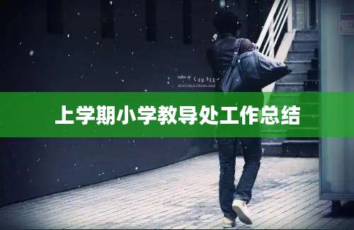 上学期小学教导处工作总结