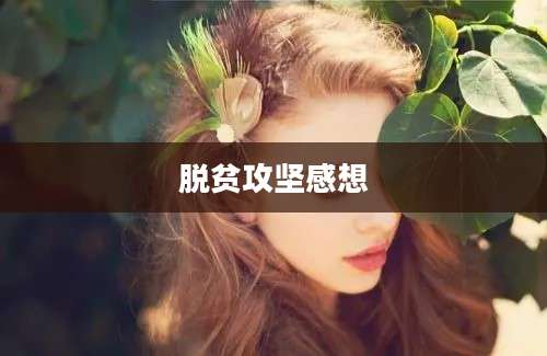 脱贫攻坚感想