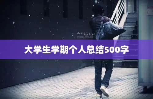 大学生学期个人总结500字