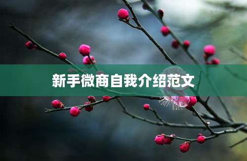 新手微商自我介绍范文