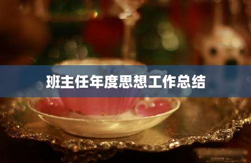 班主任年度思想工作总结