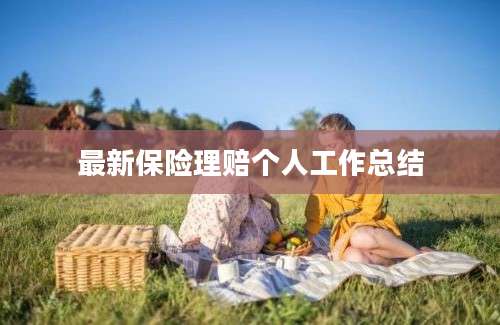 最新保险理赔个人工作总结