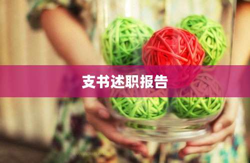 支书述职报告