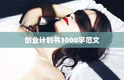 创业计划书3000字范文