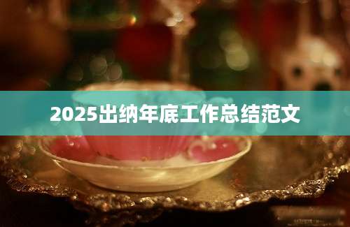 2025出纳年底工作总结范文