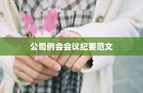 公司例会会议纪要范文