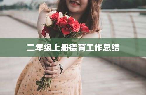 二年级上册德育工作总结