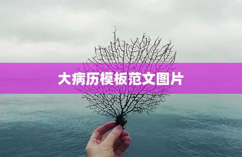 大病历模板范文图片