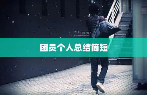 团员个人总结简短