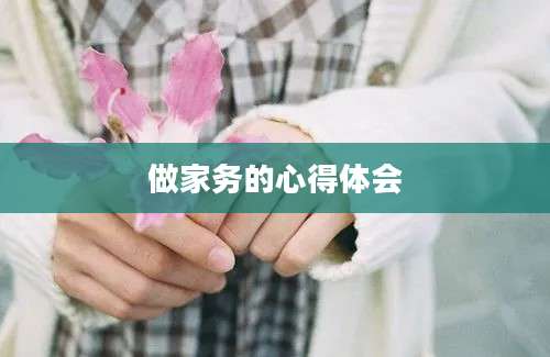 做家务的心得体会