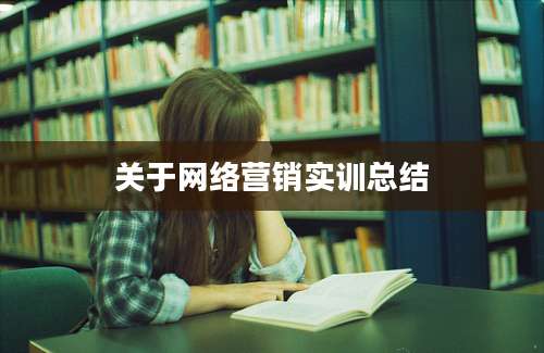 关于网络营销实训总结
