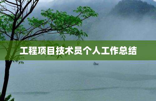 工程项目技术员个人工作总结