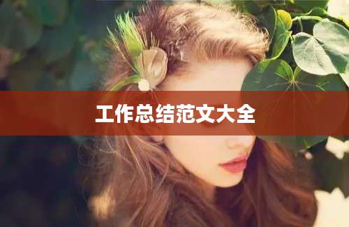 工作总结范文大全