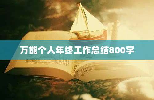 万能个人年终工作总结800字