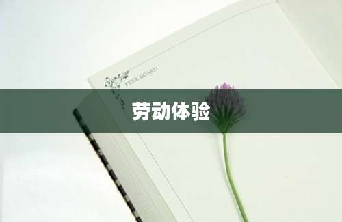劳动体验