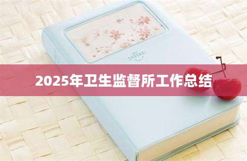 2025年卫生监督所工作总结