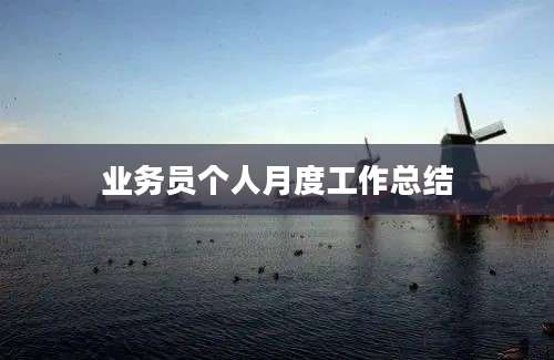 业务员个人月度工作总结