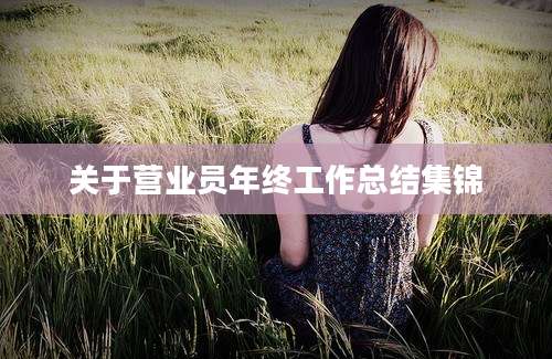 关于营业员年终工作总结集锦