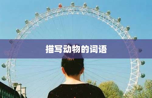 描写动物的词语