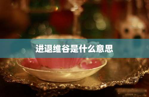 进退维谷是什么意思