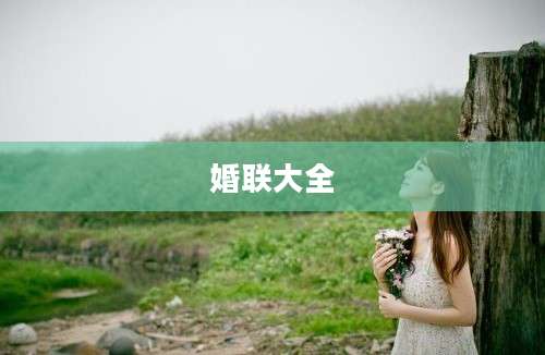 婚联大全