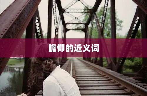 瞻仰的近义词