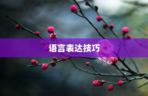 语言表达技巧