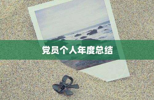 党员个人年度总结