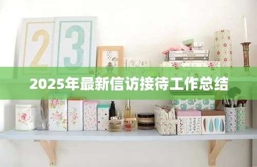 2025年最新信访接待工作总结