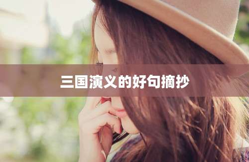 三国演义的好句摘抄