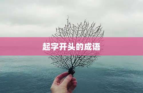 起字开头的成语